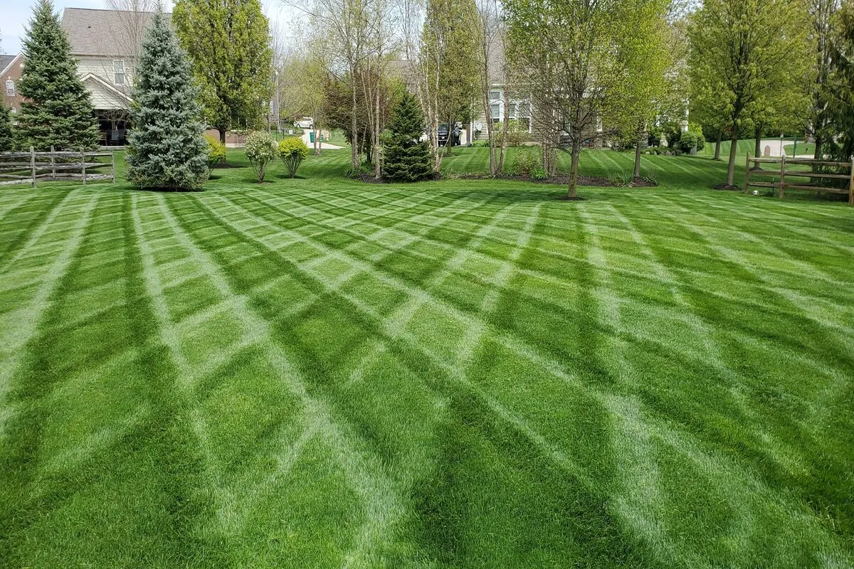 Thick turf at a Bellbrook, Ohio property maintained by Turf Team Lawn Care
