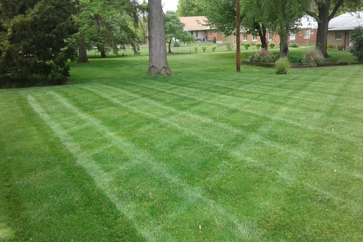 Backyard lawn in Kettering, Ohio maintained for summer density by Turf Team Lawn Care